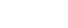 El Universal